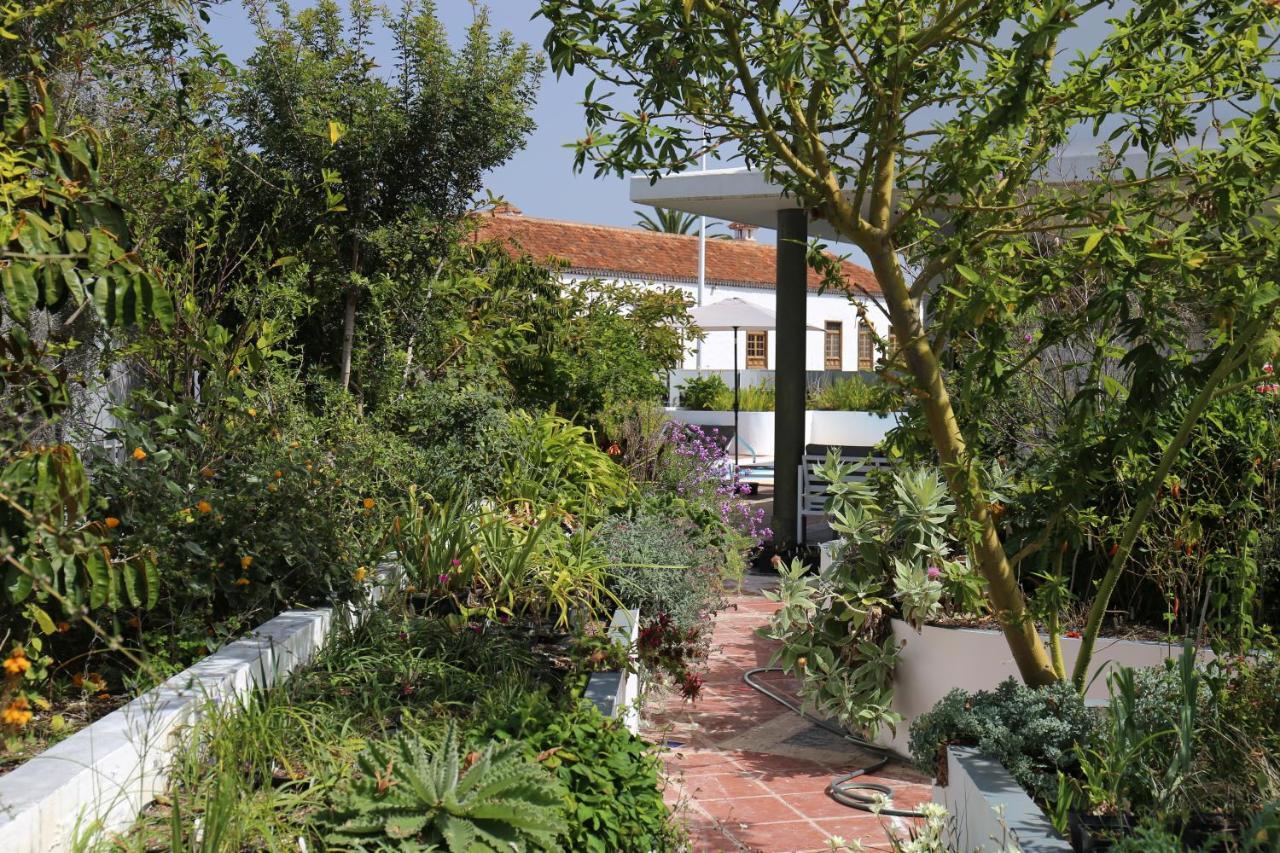 Appartement Jungle Paradise La Orotava