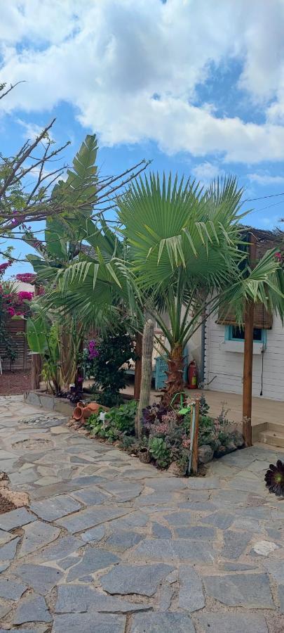 Beautiful Vintage Wifi Parking. Holiday home Las Galletas