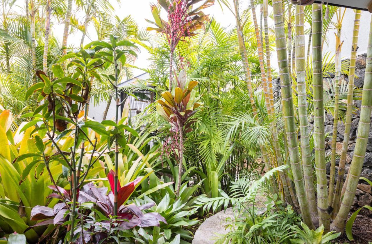 Séjour chez l'habitant La Selvita Bajamar (La Laguna)