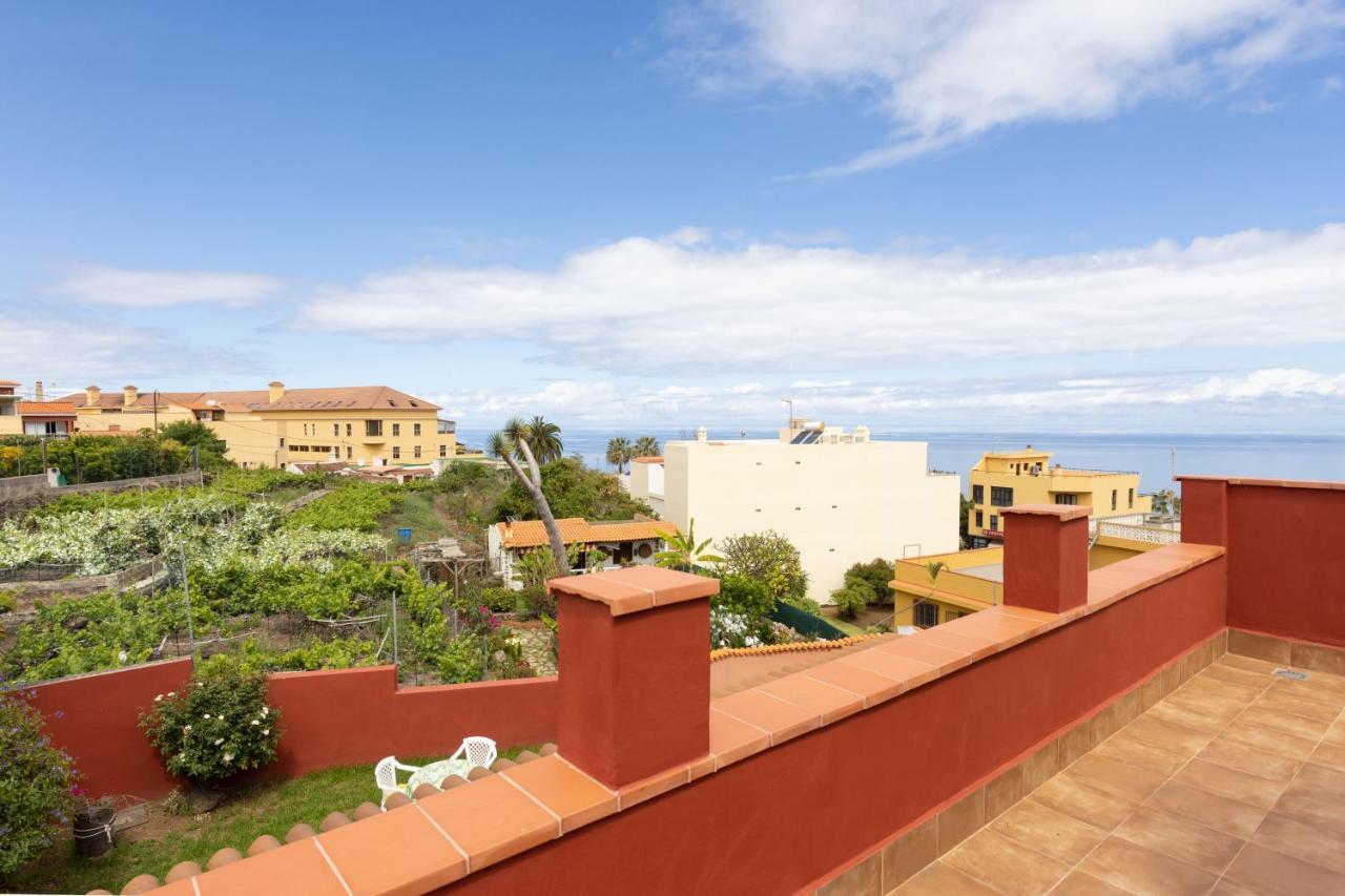 Live Cala * Santa Ursula (Tenerife)