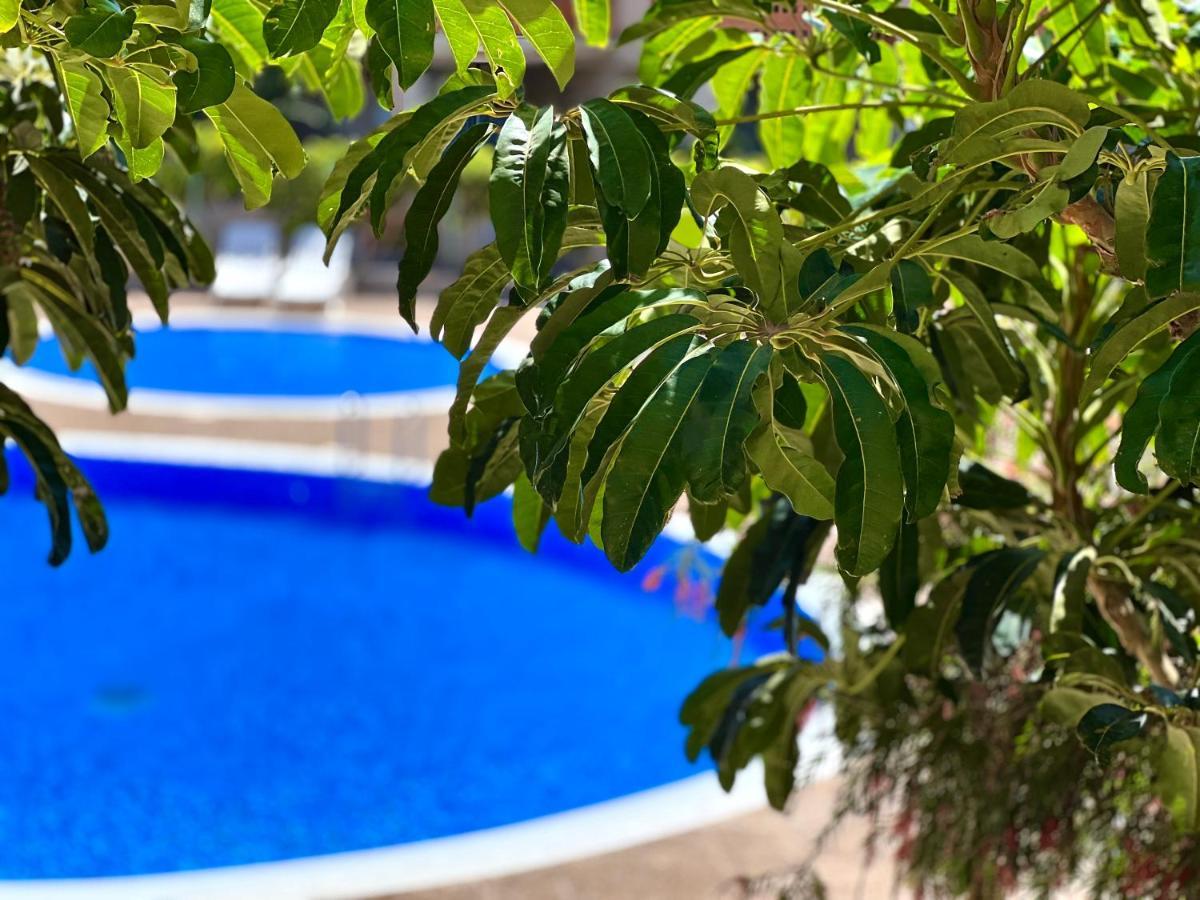 Apartamento With Garden Vista Roja