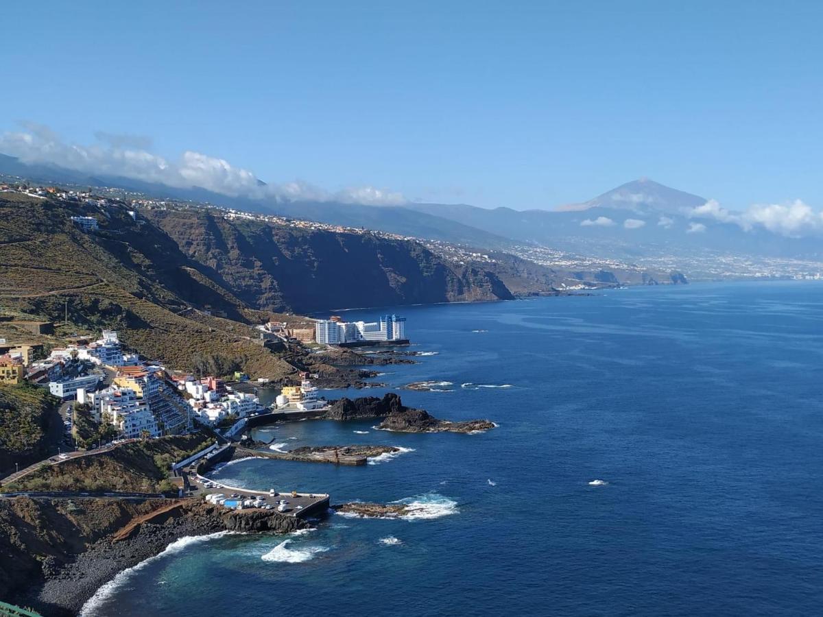 Violeta La Laguna (Tenerife)