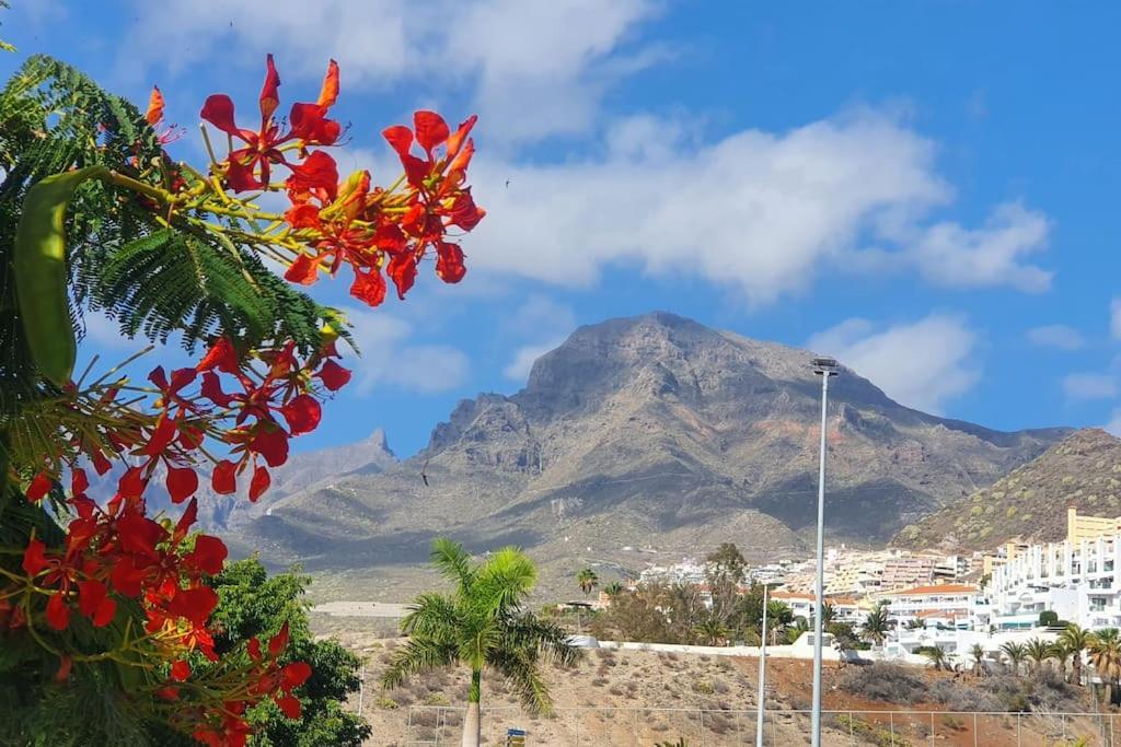 Sunset Star Orlando - Your Away From * Costa Adeje (Tenerife)