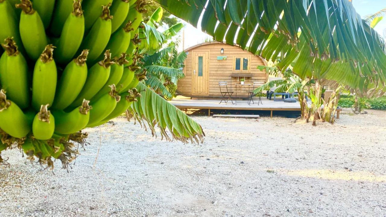 Amani Con Jacuzzi Piscina Y Naturaleza * Buzanada