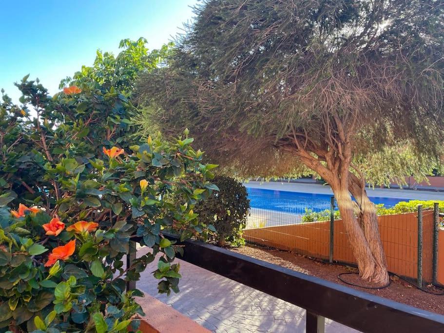 Cozy With Large Terrace Next To The Pool La Tejita