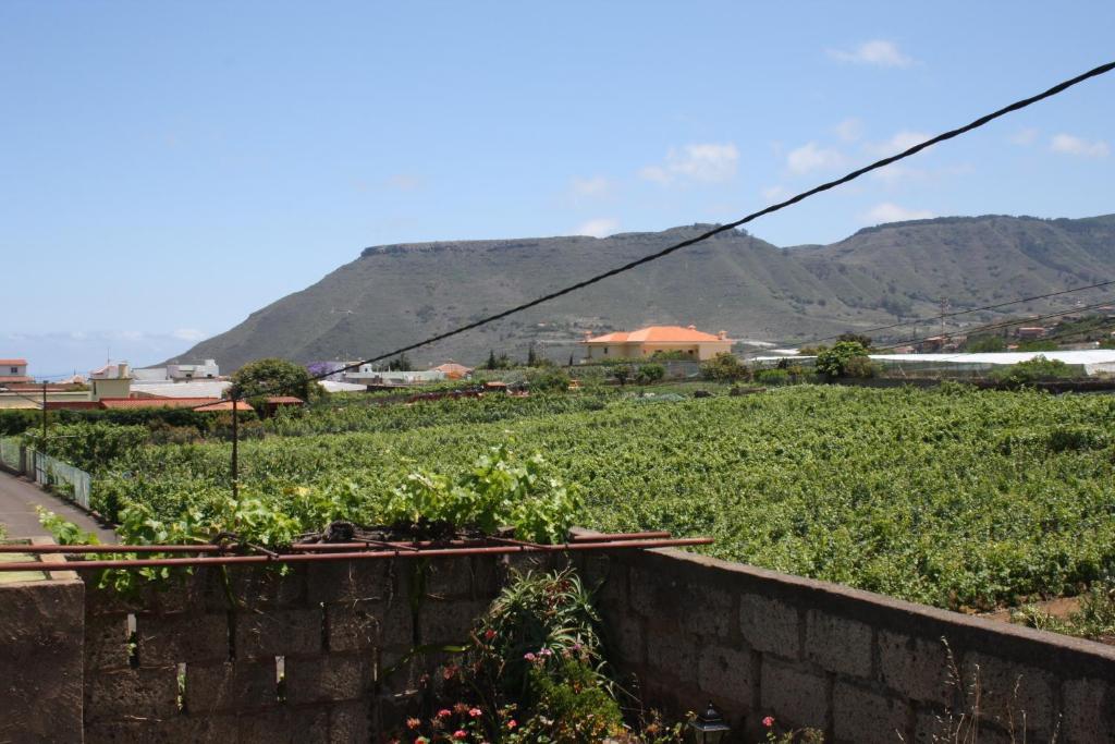 El Vergel Rural Country house Tegueste