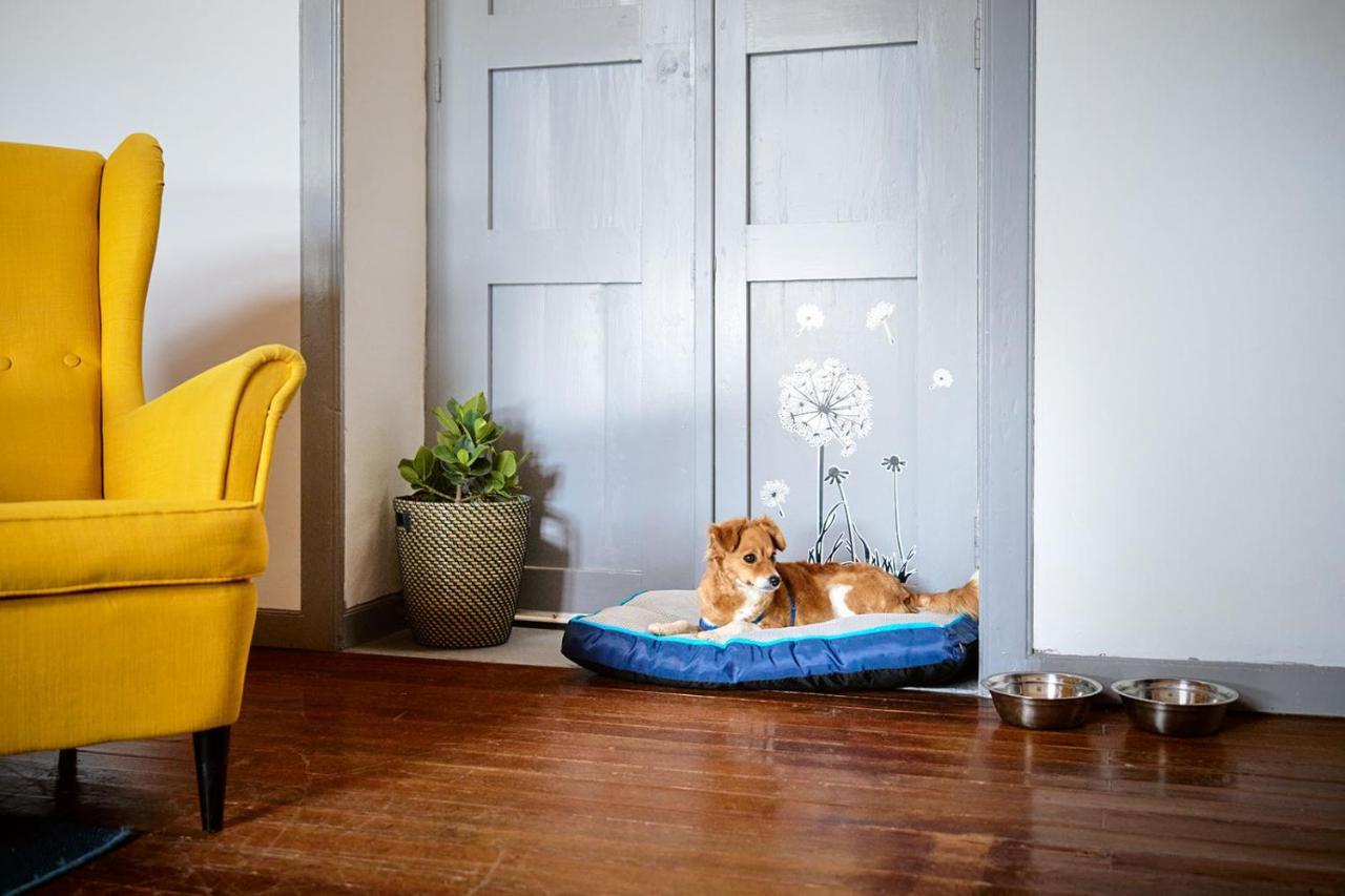 La Casa Del Barranco *