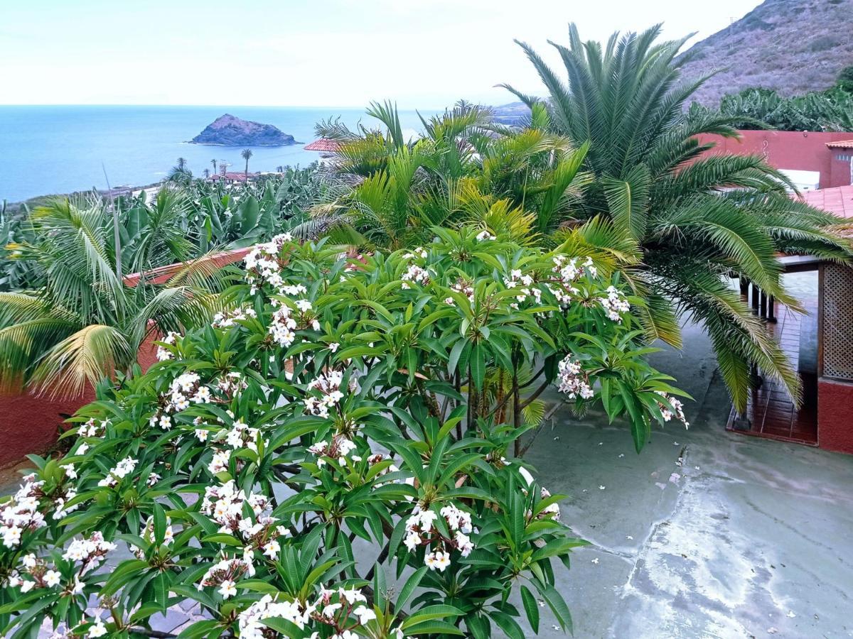 Live Garachico Daute Con Terraza Y Piscina Las Cruces (Canary)