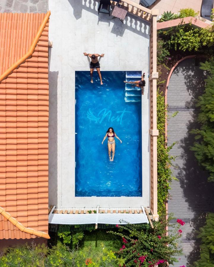 Auberge de jeunesse Duque Nest *