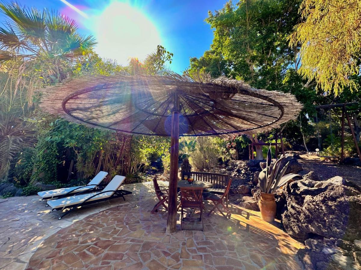 Tropical Garden *