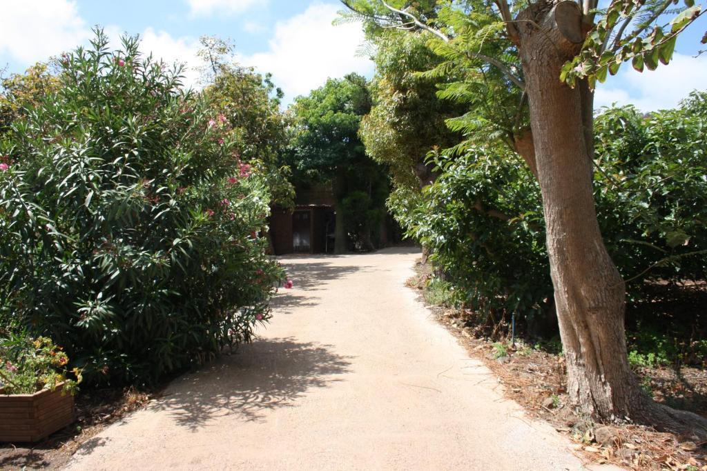 Country house El Vergel Rural