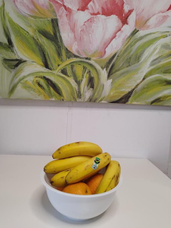 Apartamento Vida Mediterranea Puerto de la Cruz (Tenerife)