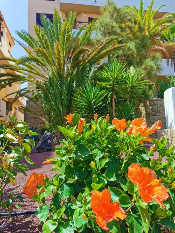 Appartement Rayo San Miguel de Abona