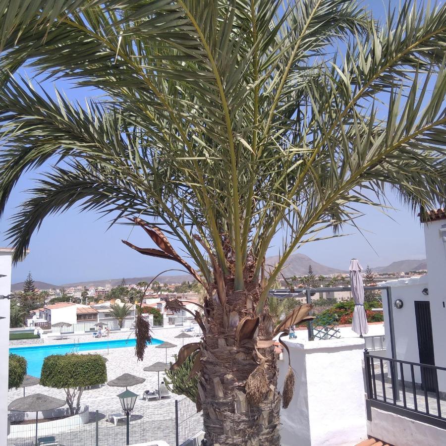 Con Grande Terraza Y Con 4 Piscinas Apartamento