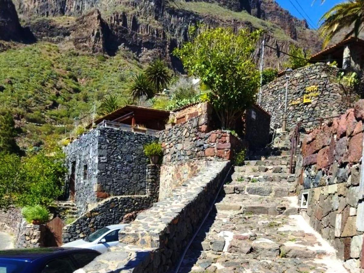 Live Masca Casatarucho Villa Buenavista Del Norte