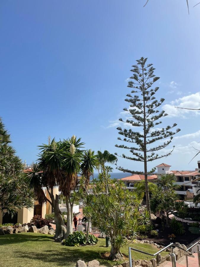 Paraiso Albatros, Beautiful Complex Apartment