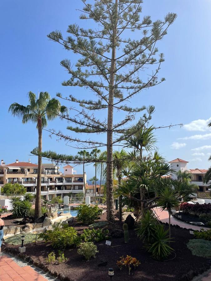 Paraiso Albatros, Beautiful Complex Apartment *