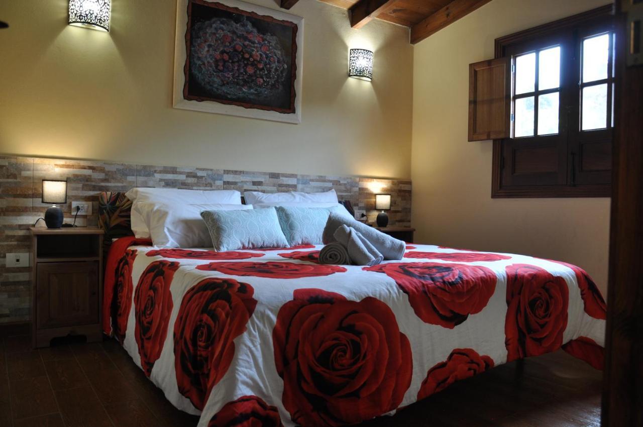 Oasis Hill Icod De Vinos Bed & Breakfast *