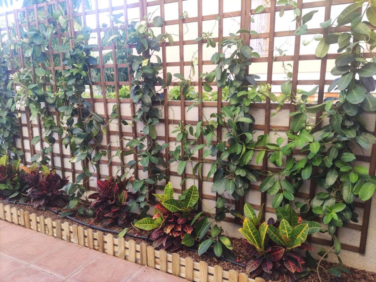 Appartement Hakuna Matata Con Gran Terraza, Planta Baja *