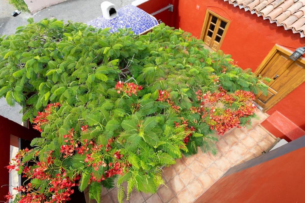 Rural House With Traditional Architecture S. Xix Santa Cruz de Tenerife