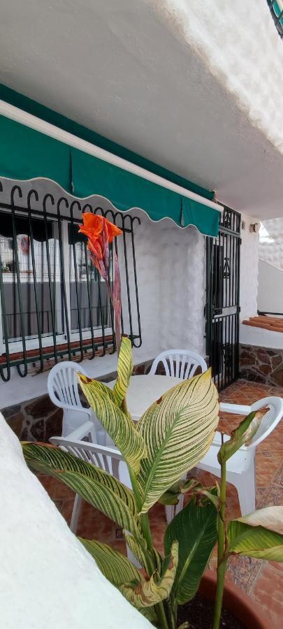 Bungalo Palo Blanco With Ocean View Apartamento *