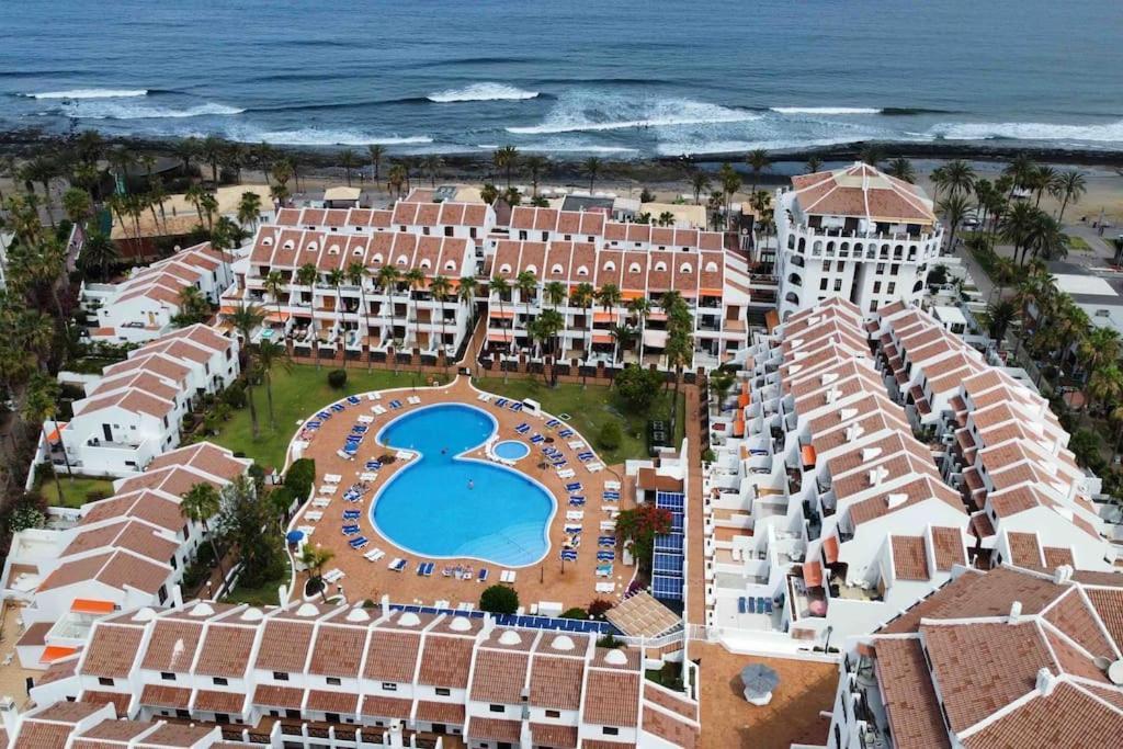 Palm Trees - Americas Apartment Arona (Tenerife)