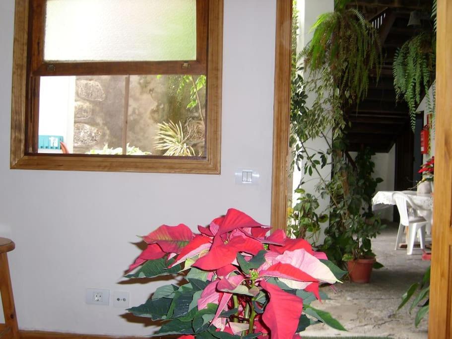 Preciosa Casa Emblematatica, Piscina,wifi Holiday home