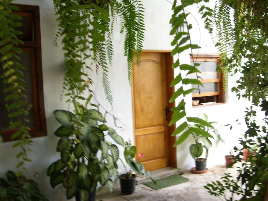 Preciosa Casa Emblematatica, Piscina,wifi Сasa de vacaciones *