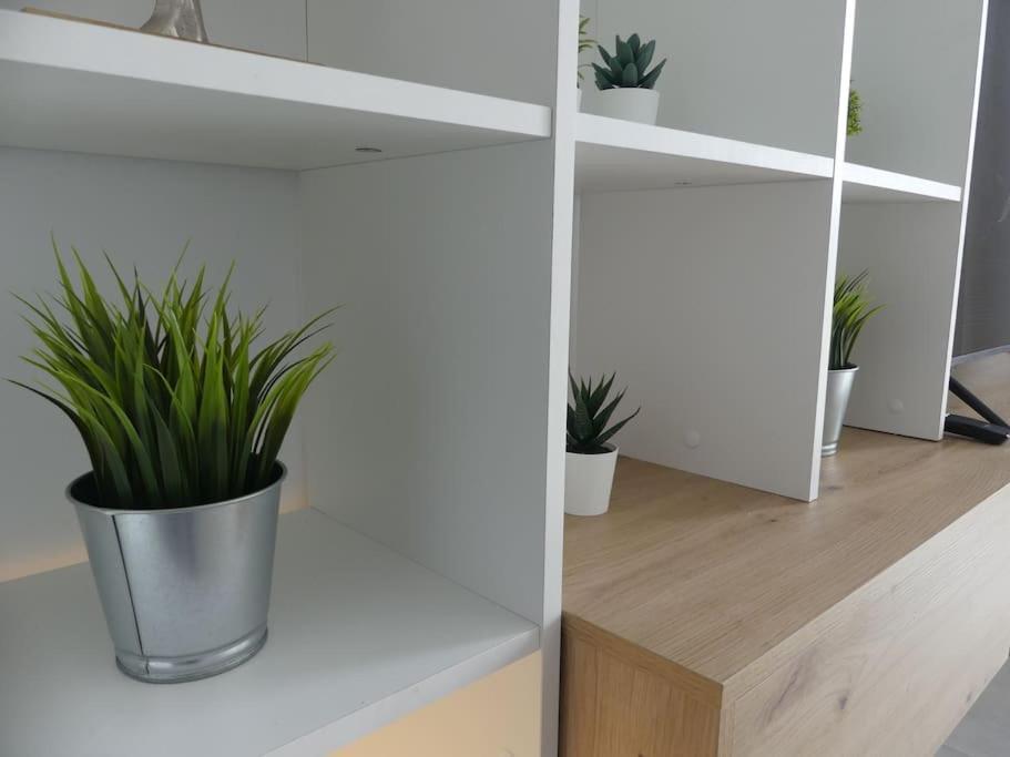 19 Piso Centrico, Nuevo Y Bien Equipado En La Trinidad Apartment La Laguna (Tenerife)