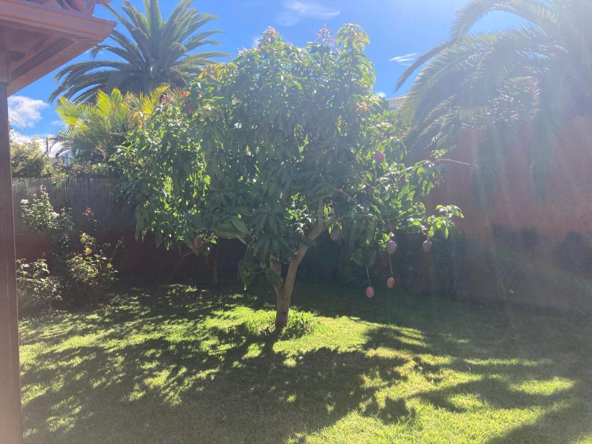 Xanadu Coliving Santa Úrsula