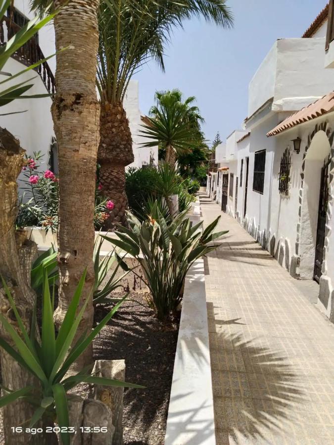 Hébergement de vacances 2 Splendida In Tenerife Del Sur Casa Trilly