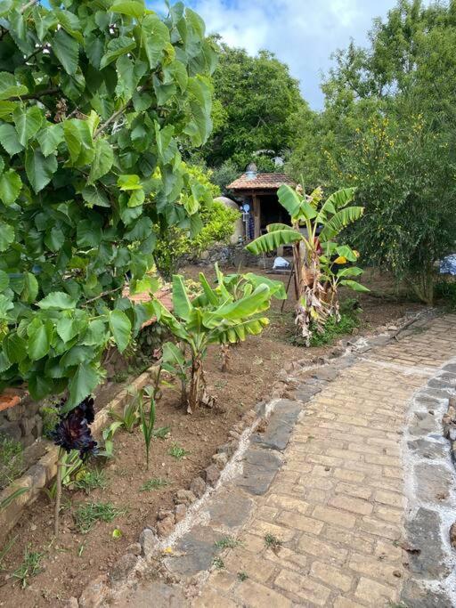 Rural House To Take A Break, La Serreria 25 - Private Garden Hébergement de vacances