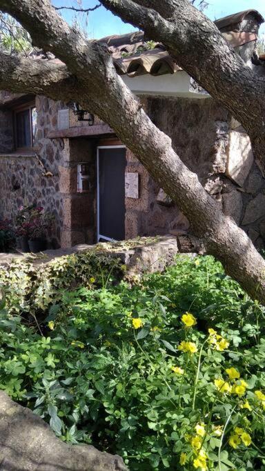 Hébergement de vacances Rural House To Take A Break, La Serreria 25 - Private Garden