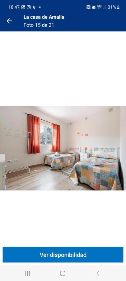 La Casa De Amalia *