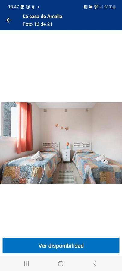 La Casa De Amalia