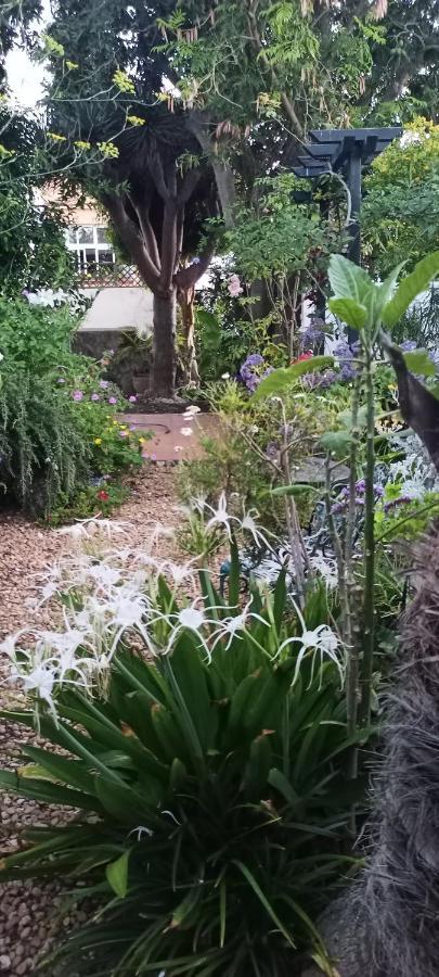 Casa Flora Garden * El Sauzal