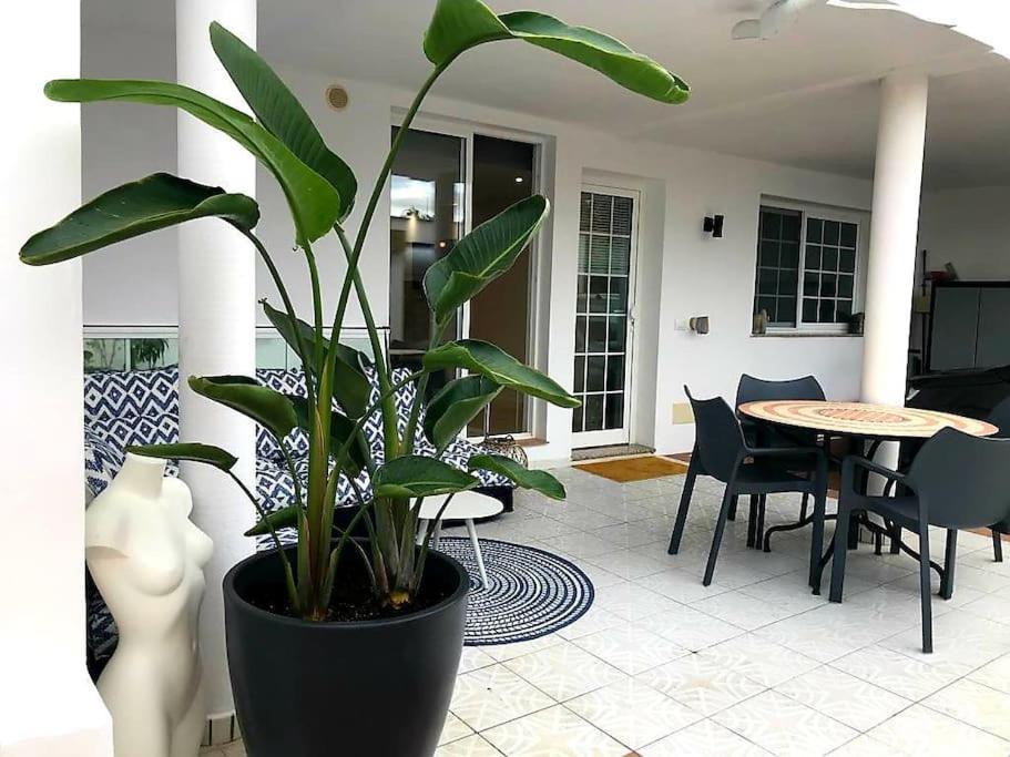 Pura Vida Strandnahes Ferienappartment In Bester Lage! Apartment Puerto de la Cruz (Tenerife)