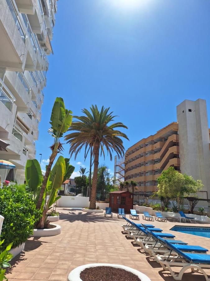 Paraiso Ponderosa, Lovely Estudio Americas