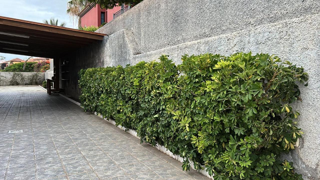 Estupendo En Con Piscina Candelaria