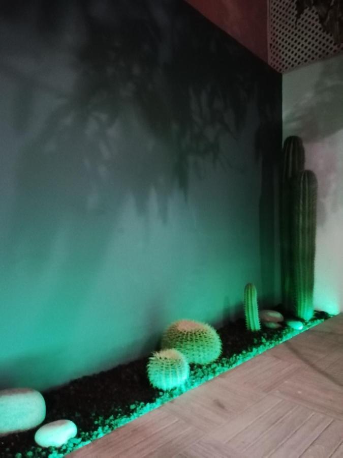 Casa Guadalupe Y Roque Holiday home Santa Cruz de Tenerife