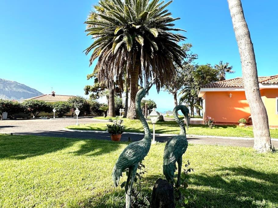 Villa La Perla Exotica Los Realejos
