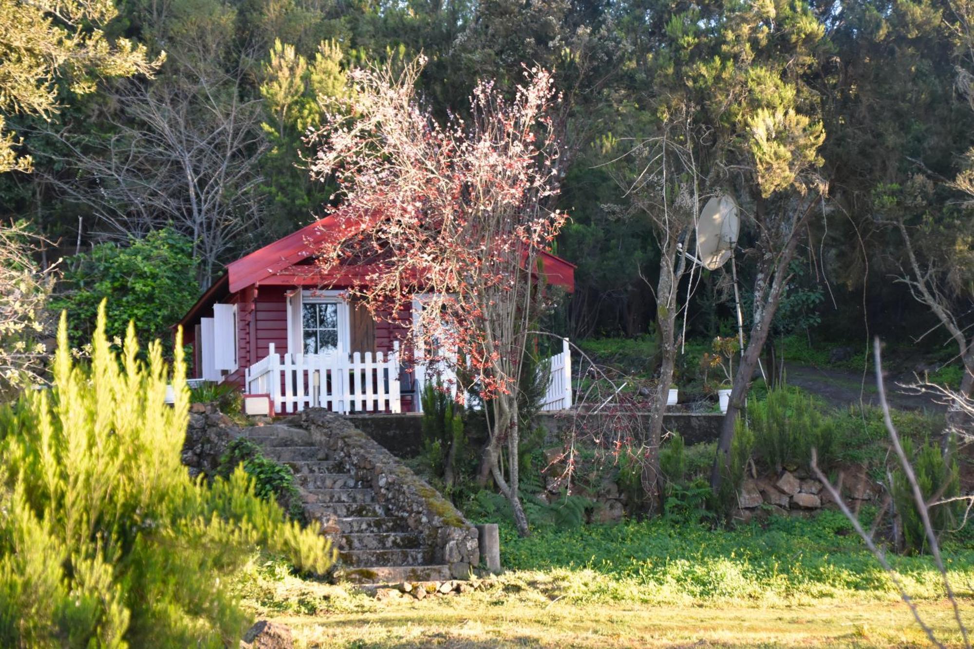 La Gustoza El Sauzal
