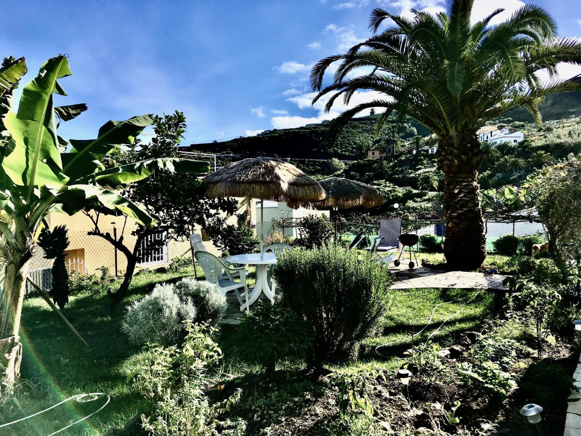 Apartment Casa Dominica