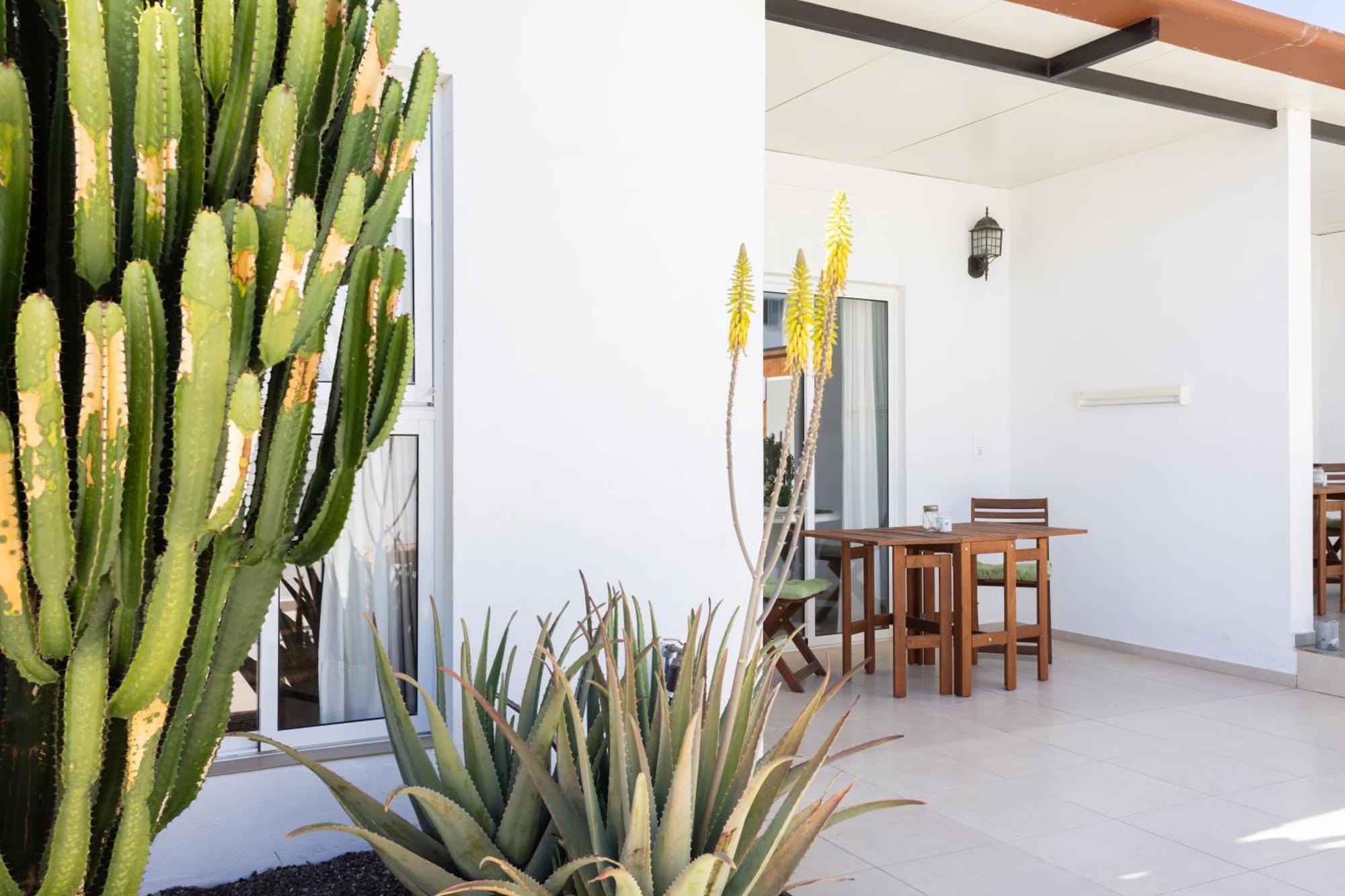 Apartamento Cinco Delicias Arona (Tenerife)
