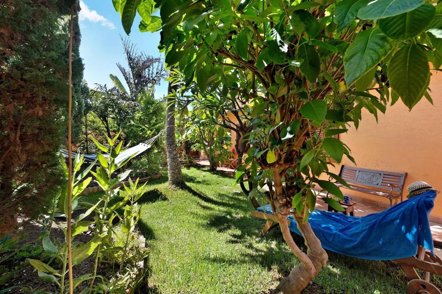 Energy Garden * Bajamar (La Laguna)