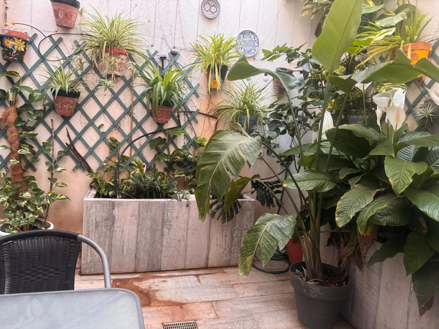 Appartement Loft