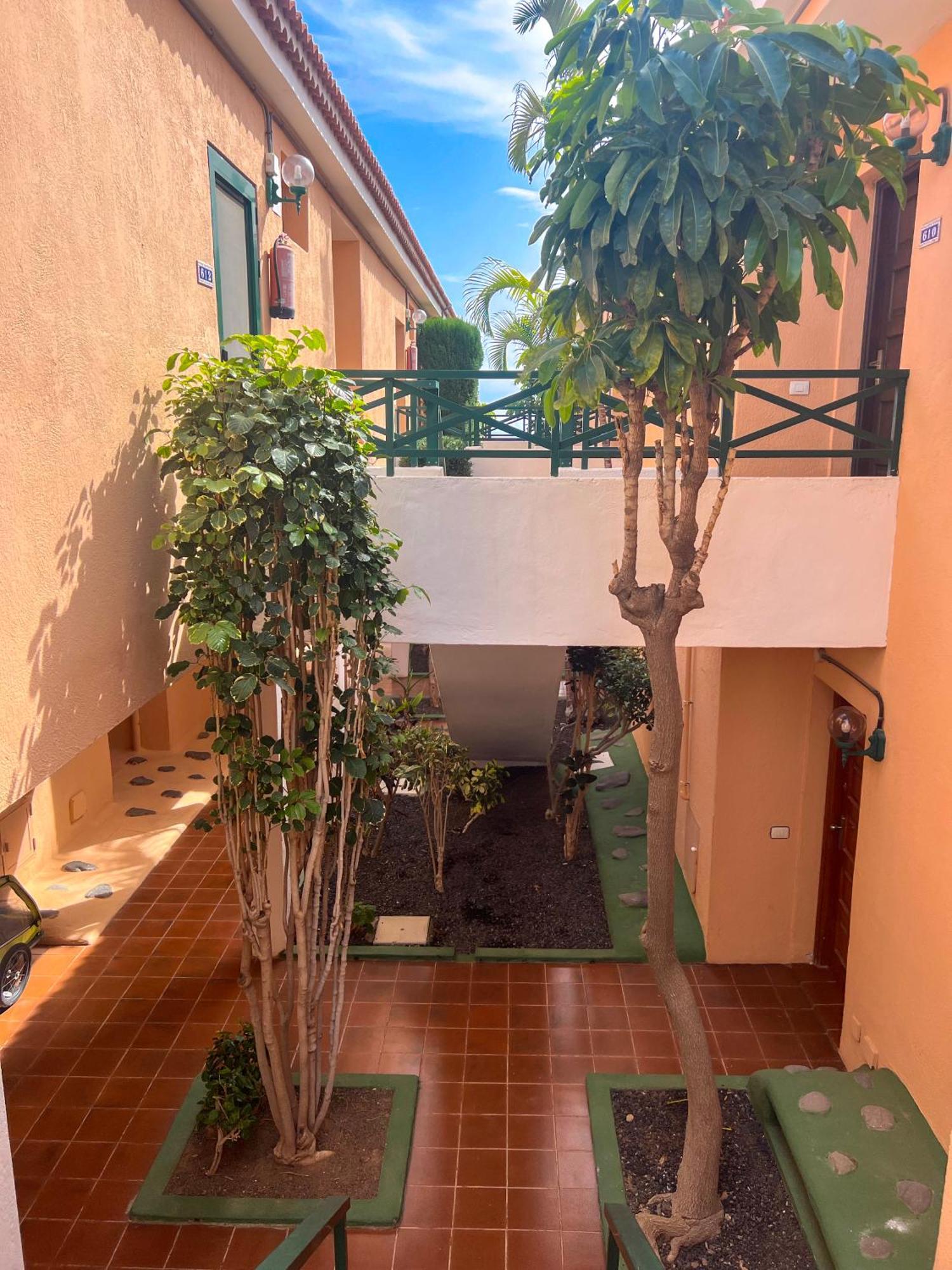 Paz Ocean View, Air Condition, Wifi, Heated Pool