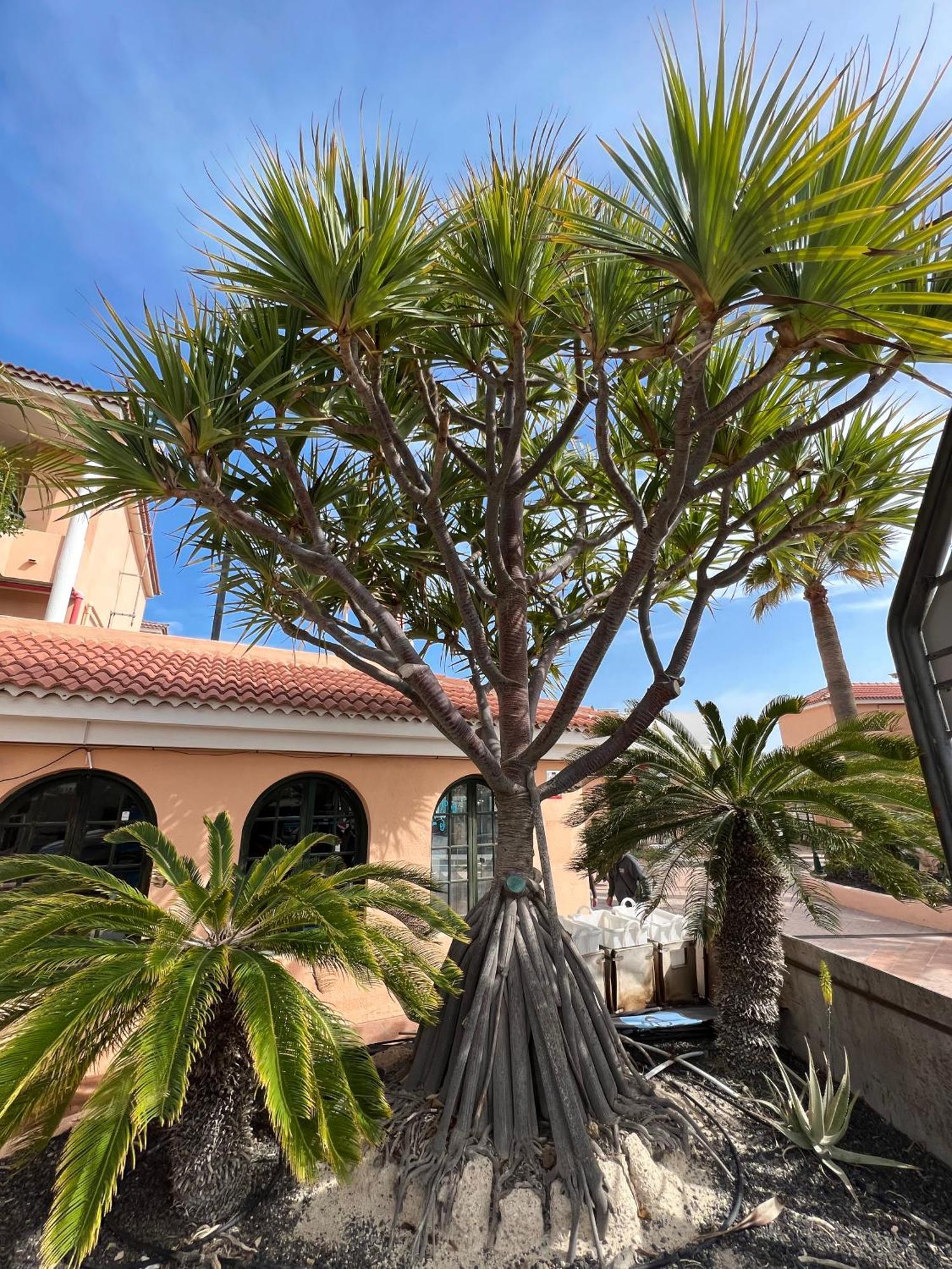 Paz Ocean View, Air Condition, Wifi, Heated Pool Appartement