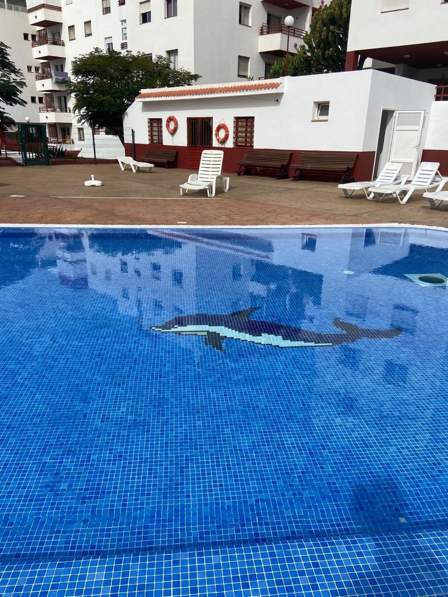 Apartamento Piso Familiar De 3hab Con Piscina En *