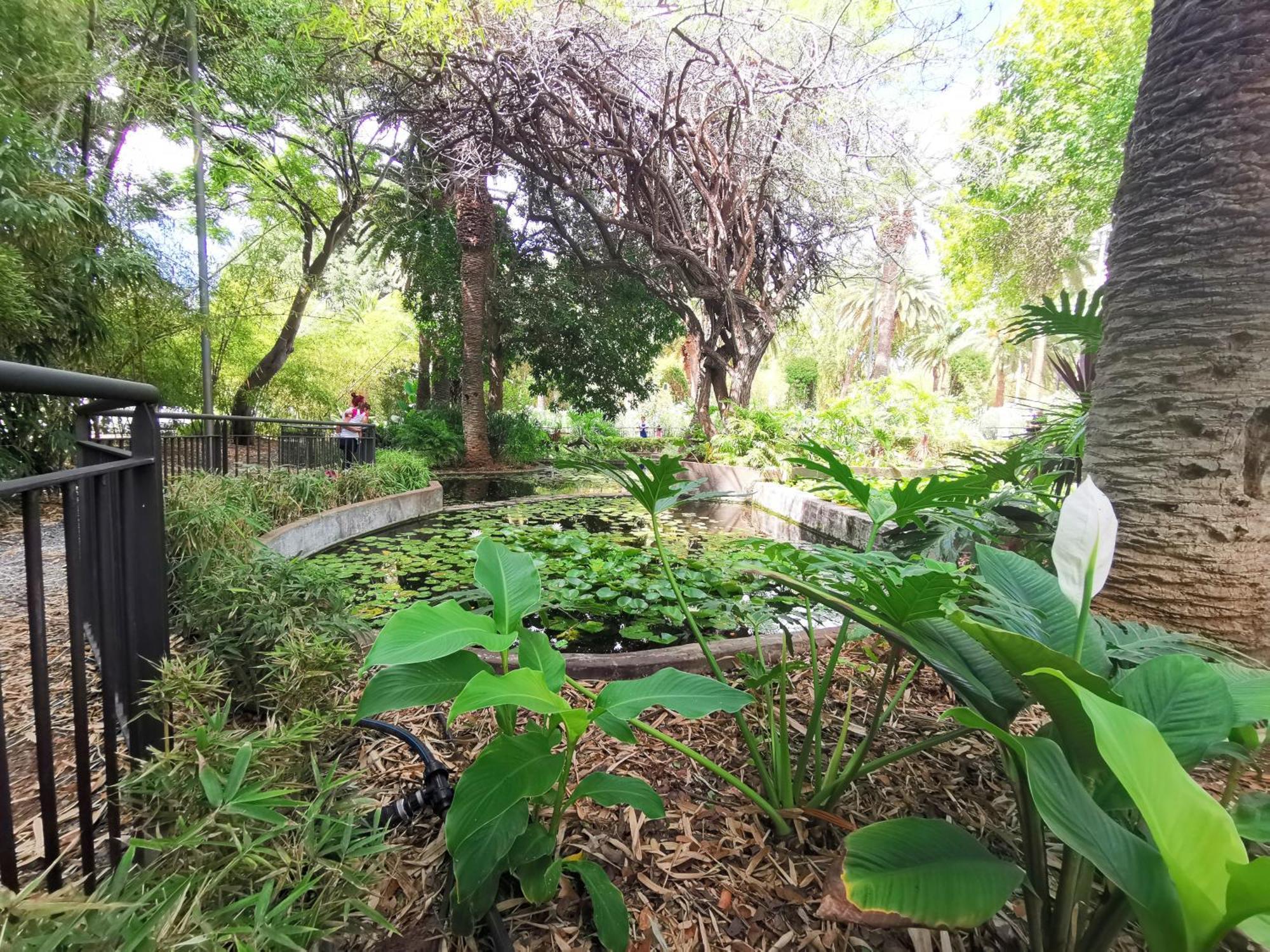Home2book Cozy La Marina, Cruz Center Appartement *